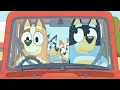 Bluey ile Yağmurlu Günler 💧☔️ | Bluey Türkçe Resmi Kanal
