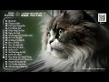 Download Lagu Hôm Nay Mưa Phủ Bay Remix - Khuất Lối, Thương Ly Biệt, Có Duyên Không Nợ - EDM TikTok Remix Hay 2024