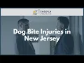 Dog Bite Injuries in New Jersey Camili Capo