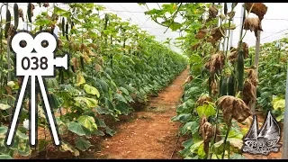 Wintering in Almerimar Marina on a Sailboat – Greenhouses, Beaches, Sierra Nevada and More Ep38