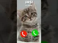 Lagu JASI #ringtone #smartphone C Calling 😮#ringtone #cat #gato #babygirl #youtubeshorts #catlovers