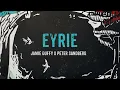 Jamie Duffy x Peter Sandberg - Eyrie (Official Audio)