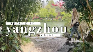 上海出发两小时：春日扬州瘦西湖休闲游