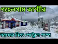 Download Lagu Pahalgam Kashmir | Pahalgam Tourist Places | Betaab Valley | Baisaran Valley | Kashmir Tour