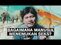 Lagu Perjalanan Panjang Manusia dalam Menemukan Seks