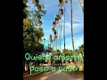 Con Olor a Hierba - Sergio Vega (video letra)