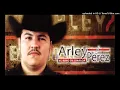 Arley Perez Con Banda Tierra Blanca  - El Gallo Celoso (En Vivo)(2013)