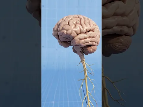 You’ve NEVER Actually Touched Anything