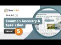 Unit B 5 Lesson 5 Planning OpenSciEd On-Demand Resources