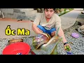 Download Lagu Cách kiếm tiền trên youtube ?? và món ốc ma xào lăn của ĐẠT chế biến ngon ra sao ??? Về Quê Channel