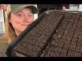 Growing Lisianthus from Seed Tips Tricks Let the Season BEGIN Flower Hill Farm