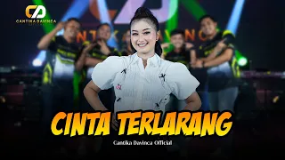 cinta terlarang cantika davinca