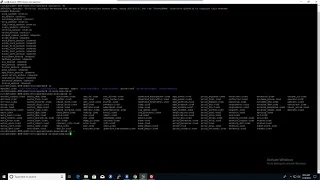 CyberPatriot Tip Apache Module CGI
