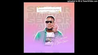 senior maintain ft slowdog government ayigo remix official audio 
