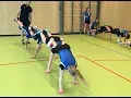 Download Lagu Gymles: Teambuilding 12: Handen en voeten