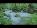 Serene Lake A Tranquil Escape to Nature