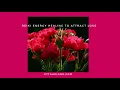 Download Lagu Reiki To Attract Love