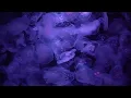Calming Jellyfish Aquarium ~ Relaxing Music for Sleep & Stress Relief