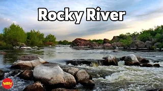 Download Don't Let this Go to Waste -Loving Caliber (Rocky River) 806 MP3