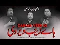 Download Lagu Haye Zainab Veer Di | Sonu Monu Nohay 2020 | Nasir Asghar Nohay | ShababulMomineen | BibiZainab Noha