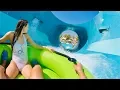 Lagu Waterslides at Laguna Waterpark in Dubai