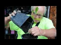 Growing Small Oak trees from Seedlings Found in the wild