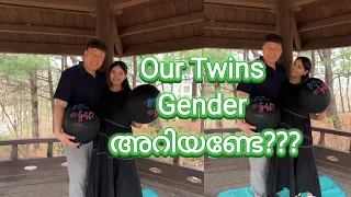 🇰🇷🇮🇳 From Morning sickness to this Our Twins Gender reveal 🩷? 💙 ? #IndianKoreanCouple