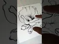 Hand-drawn Botanical Coloring Page - Available on Adobe Stock