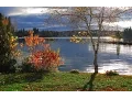 Download Lagu Peace of Mind - Kevin MacLeod - Royalty Free Music