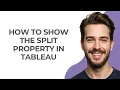 How to Show The Split Property In Tableau - GUIDE