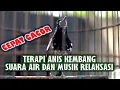Download Lagu TERAPI ANIS KEMBANG, SUARA AIR DAN MUSIK RELAKSASI
