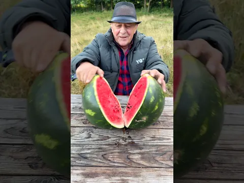 🍉 Made a BBQ grill with Watermelon in the Wilderness 🌳 #survival #bushcraft #camping