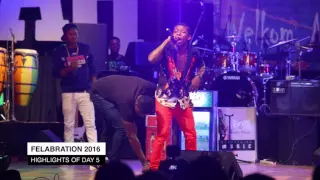 small doctors performance at felabration2016