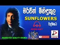 Download Lagu SUNFLOWER WITH MERVIN MIHINDUKULA LIVE SHOW AUDIO පැරණි සන්ෆ්ලවර්ස් RECREATED QUALITY SOUNDS