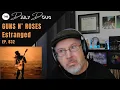 Download Lagu Classical Composer Reacts to GUNS N' ROSES: ESTRANGED | The Daily Doug (Episode 832)