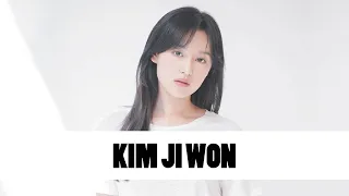 Download 10 Things You Didn't Know About Kim Ji Won (김지원) | Star Fun Facts MP3