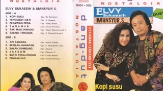 elvy sukaesih pengobat hati