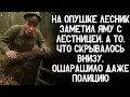 Download Lagu Лесник на опушке заметил яму с лестницей, а то, что скрывалось внизу, ошарашило даже полицию