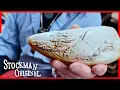 Whale s Tooth Carving Base Relief Scrimshaw