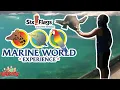 Six Flags Discovery Kingdom IS OPEN Marine World Experience