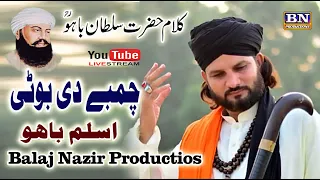 alf allah chambay di booti kalam hazrat sultan bahoo aslam bahoo malang group new2021