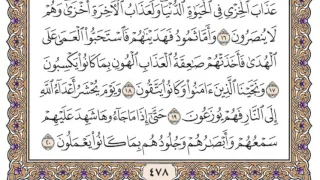 سورة فصلت محمد صديق المنشاوي 