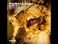Goud (feat. Luke Van Veen) - Engelbert & QuiQui