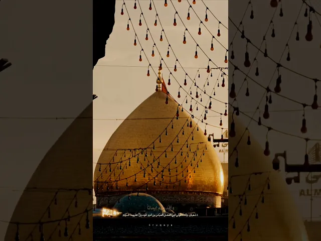 ⁣السلام عليك يا أبا الفضل العباس ابن امير المؤمنين عليهما السلام  #الشيخ_شبر_معله