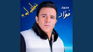                    دندنها