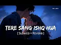 Lagu Tere Sang Ishq Hua (Slowed + Reverb) | Arijit Singh, Neeti Mohan | Yodha | SR Lofi