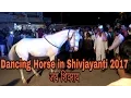 Download Lagu shivaji maharaj jayanti 19/02/2017 dancing horse in shivjayanti , niphad, nashik