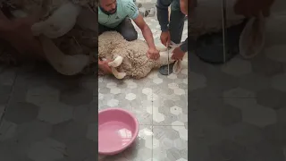 امين يارب العالمين اكسبلور 