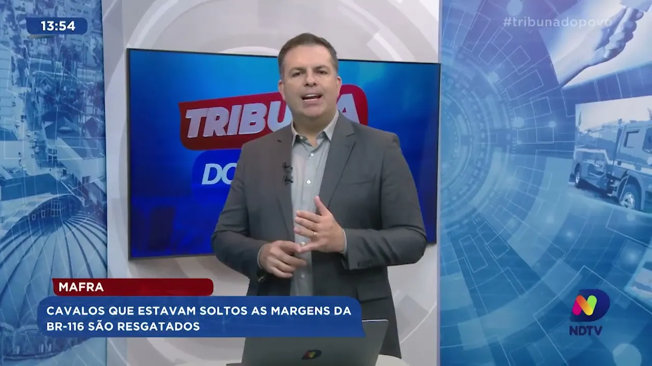 Mafra: cavalos que estavam soltos as margens da BR-116 são resgatados
