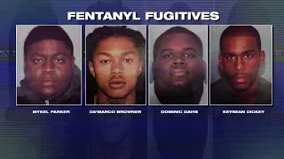 10 suspected drug traffickers arrested in fentanyl raids 4 still on the run